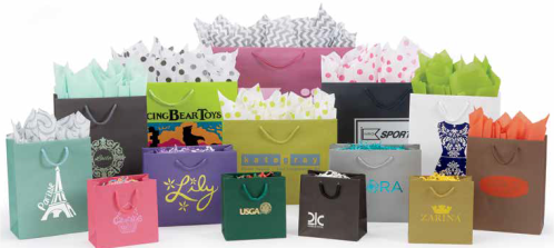 6-1/2 x 3-1/2 x 6-1/2 Enviro European Shopping Bags Packed 200/case