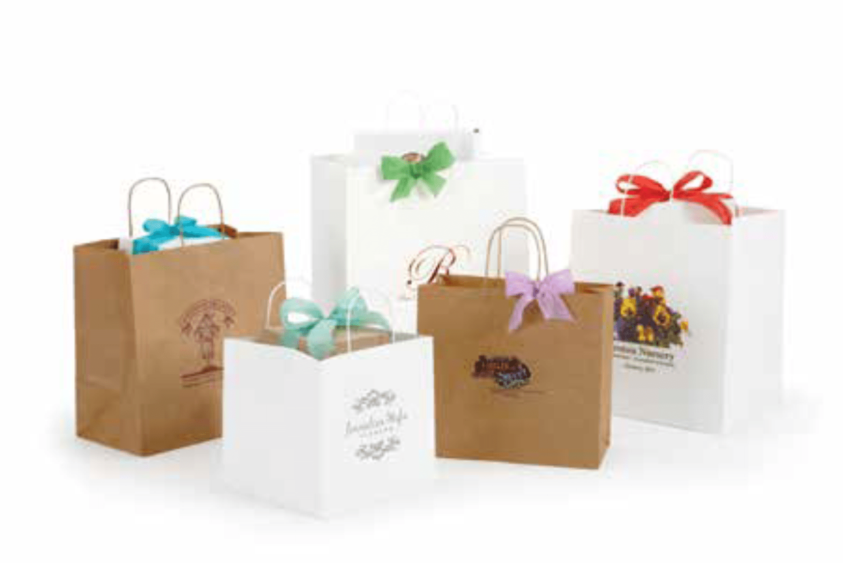 Carry Out Paper Bags with Handle